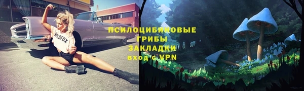 прущая мука Лабытнанги