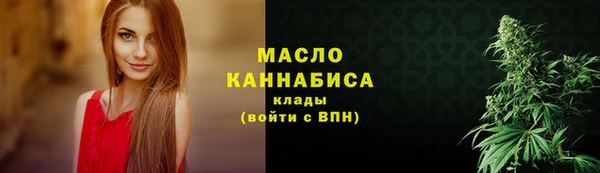 мдпв Ладушкин