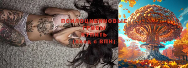 прущая мука Лабытнанги