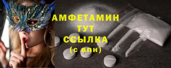 мдпв Ладушкин