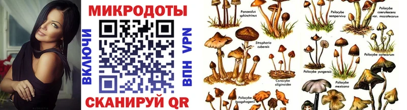 Галлюциногенные грибы ЛСД  Купить где  Надым 